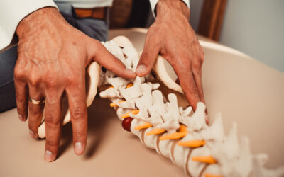 Blog 16 Najczęstsze wrodzone anomalie układu nerwowego, które każdy terapeuta powinien znać