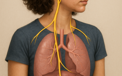 Blog 26 Jak powiązać pracę trzewną z terapią czaszkową? Perspektywa biodynamiczna