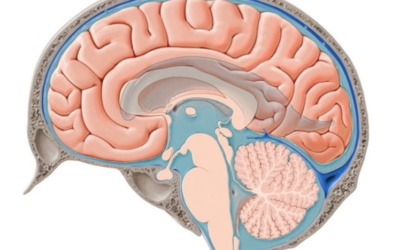 Blog 43 Czym jest Pływ w osteopatii czaszkowej? – krótkie wprowadzenie do pracy biodynamicznej