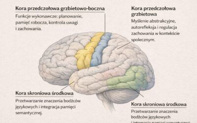 Blog 25 Dlaczego osteopatia czaszkowa powinna być podstawą pracy każdego terapeuty manualnego?