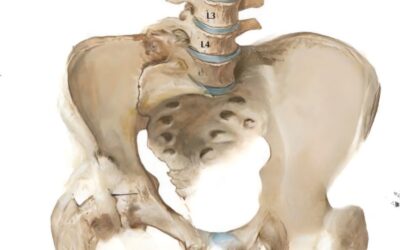 Blog 20 Kość krzyżowa w osteopatii. Dlaczego sacrum reguluje cały układ?